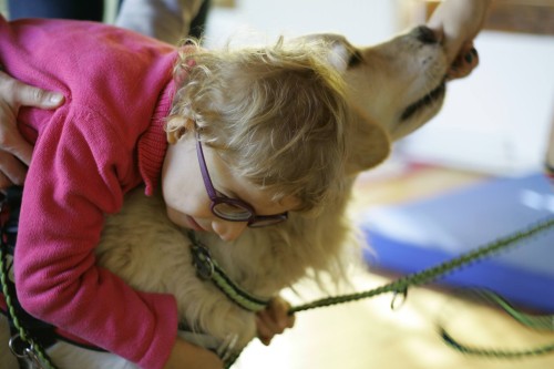fetiță și câine de terapie