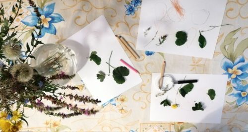 două fetițe la masa din bucătărie, se joacă cu frunze, plante, desenează